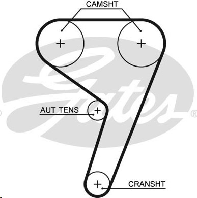Ремень ГРМ Ford Focus II/III Fiesta V/VI Mazda II /117x22/