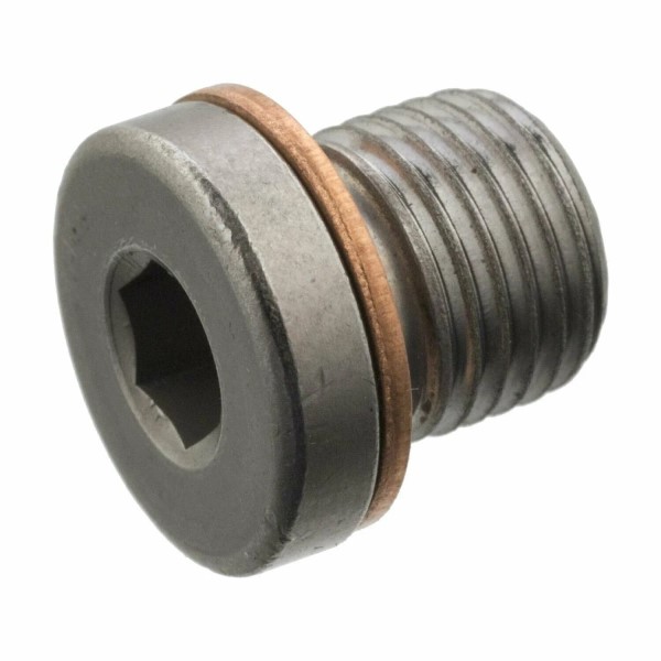 Пробка муфты HALDEX Audi VW Skoda Seat M10 L=13мм