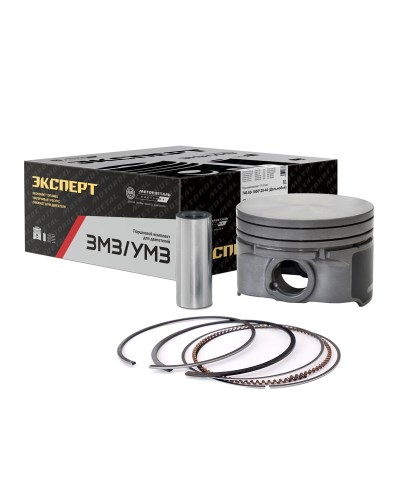 Поршневая /Г-3302 дв. УМЗ-A274,275 EvoTech PRO/ 97,5  С  с кольцами Эксперт