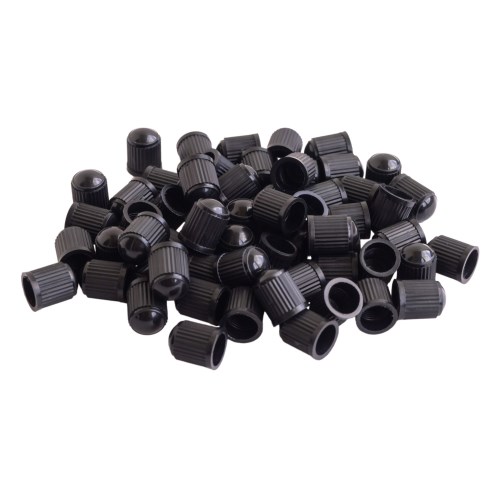 Колпачок камеры пластик (60 шт в уп.)